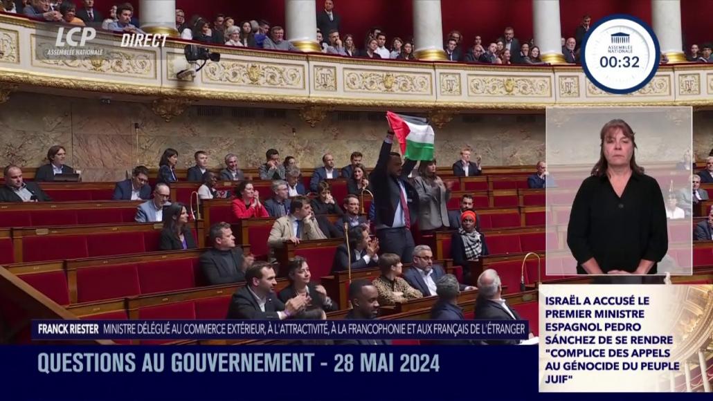 Le député LFI Sébastien Delogu brandit un drapeau de la Palestine au sein de l'hémicycle de l'Assemblée nationale.