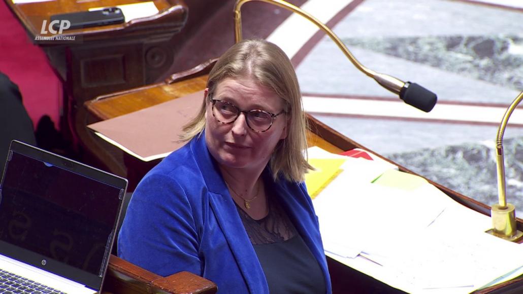 Anne-Laure Blin dans l'hémicycle le 20 novembre 2024