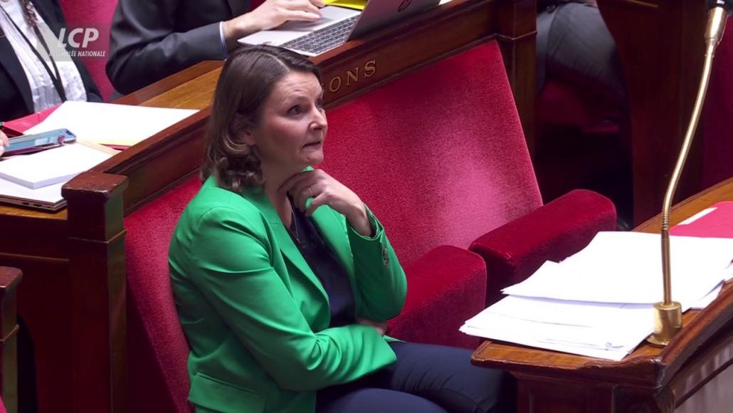 Eva Sas (Ecologiste et social) dans l'hémicycle, le 20 février 2025