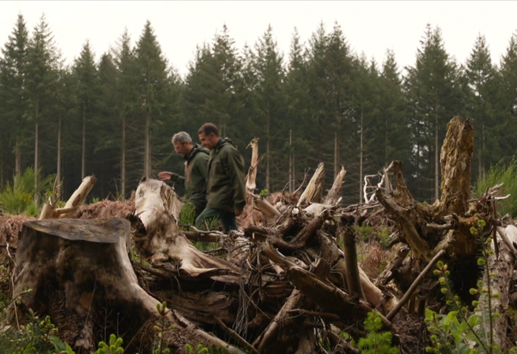 Maman j'ai arrêté l'avion-L'appel de la forêt : le tout oppose 